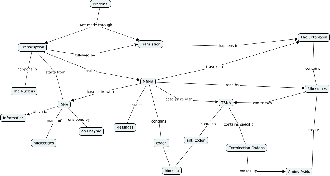 Protein Synthesis Concept Map